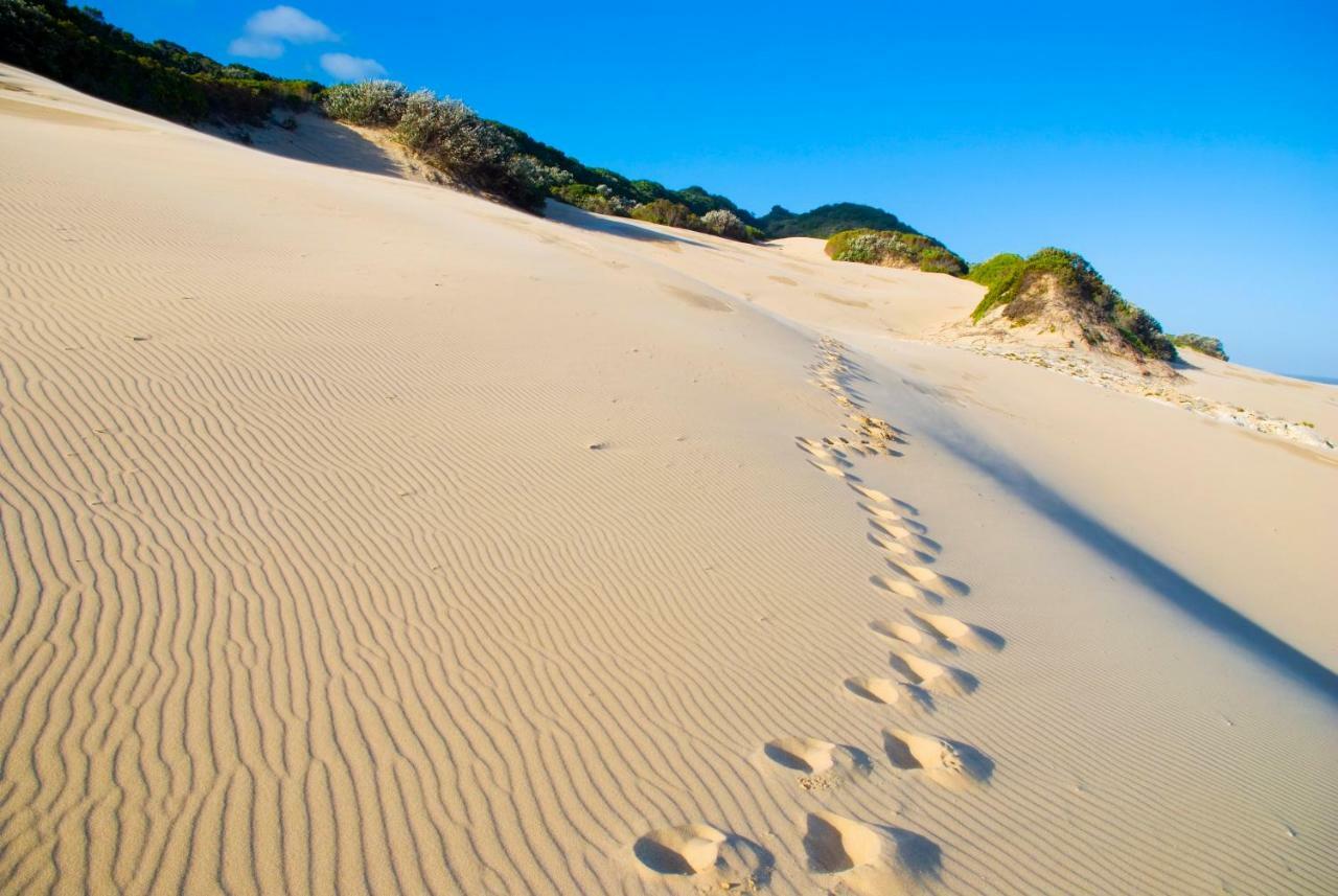 Oceana Beach And Wildlife Reserve Port Alfred Esterno foto